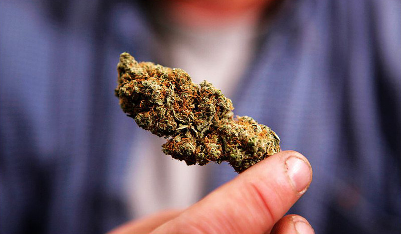 研究表明：大麻可能有效治療癌癥--置頂表情